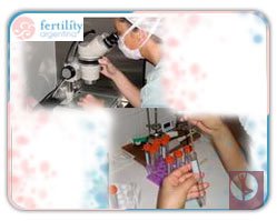 Slider image (6) Dr. Glujovsky | Fertility Argentina | CEGYR